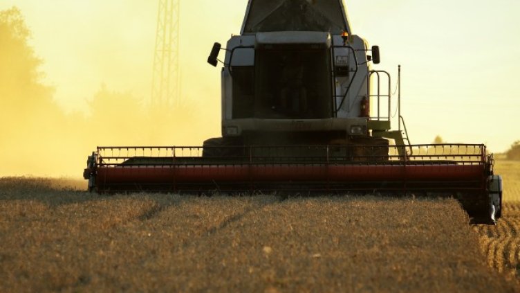 Снимка БГНЕС, архив