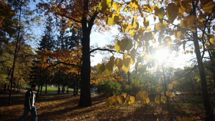 Снимка: БГНЕС