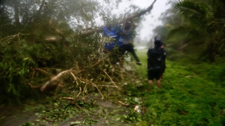 Снимка: ЕПА/БГНЕС