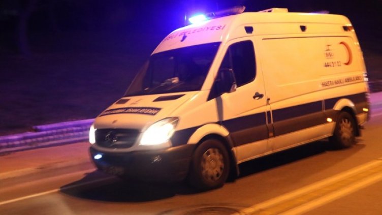 Снимка: архив, БГНЕС