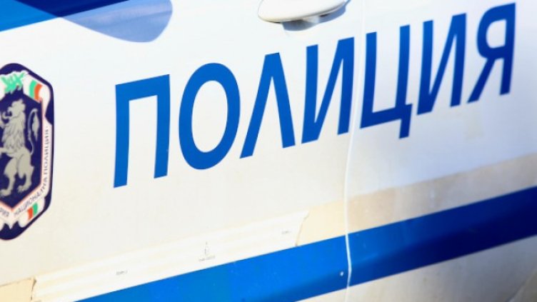 Снимка: архив, БГНЕС