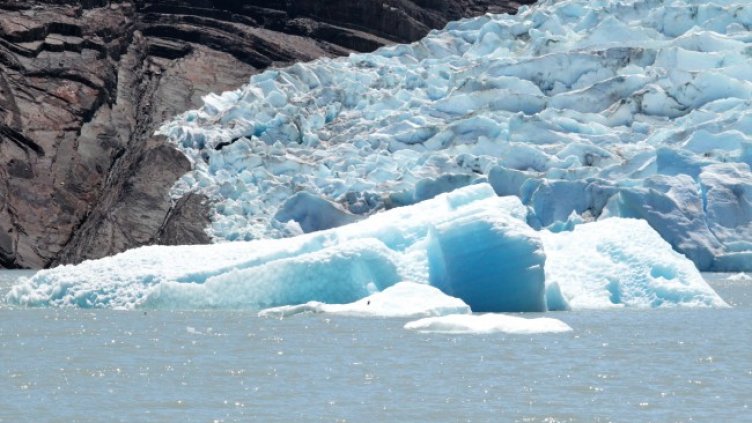 Снимка: архив, БГНЕС