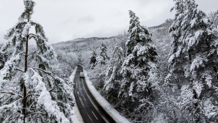 Снимка: БГНЕС