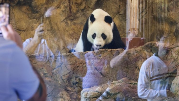 Снимка: ЕПА/БГНЕС