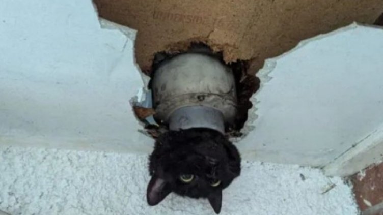 Снимка: Clevedon Fire Station