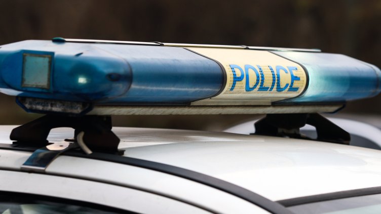 Снимка: архив, БГНЕС