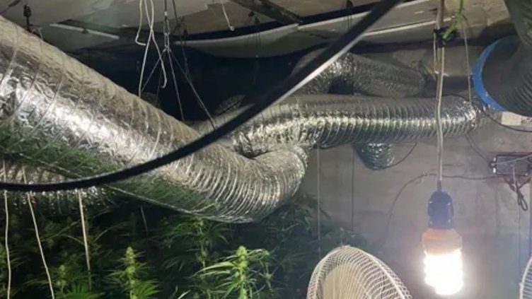 Снимка БГНЕС