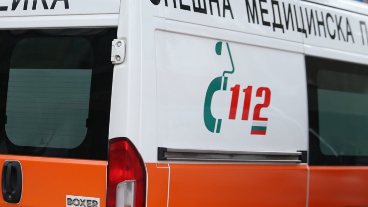 Снимка: архив, БГНЕС