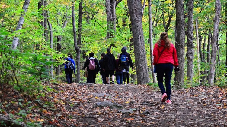 Снимка на Angel-Cruz-Photo-Art от Pixabay