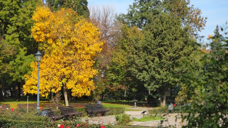 Снимка: БГНЕС