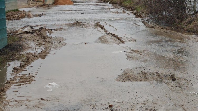 БГНЕС, архив