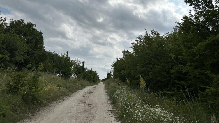 Снимка: архив, БГНЕС