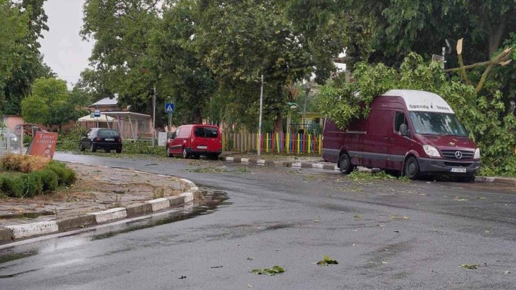 БГНЕС