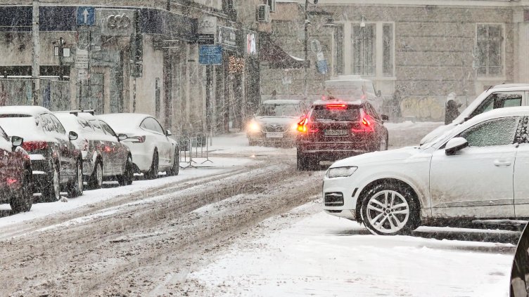 Снимка: БГНЕС