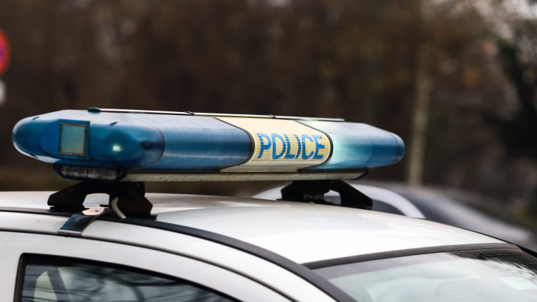 Снимка: архив, БГНЕС