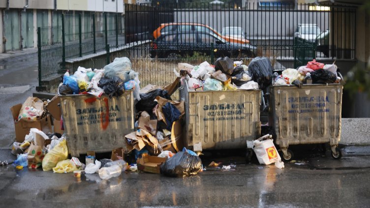 Снимка: БГНЕС