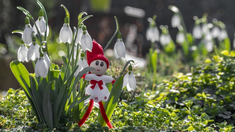 Снимка: Istock