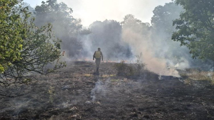 Снимка: архив, БГНЕС