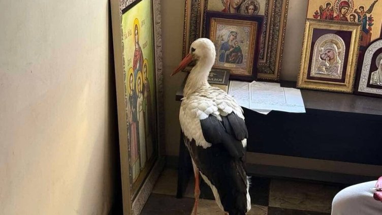 Снимка РИОСВ - Бургас