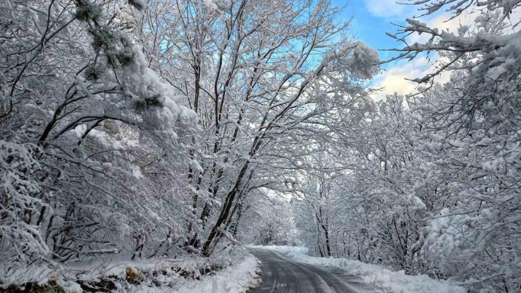Снимка: архив, БГНЕС