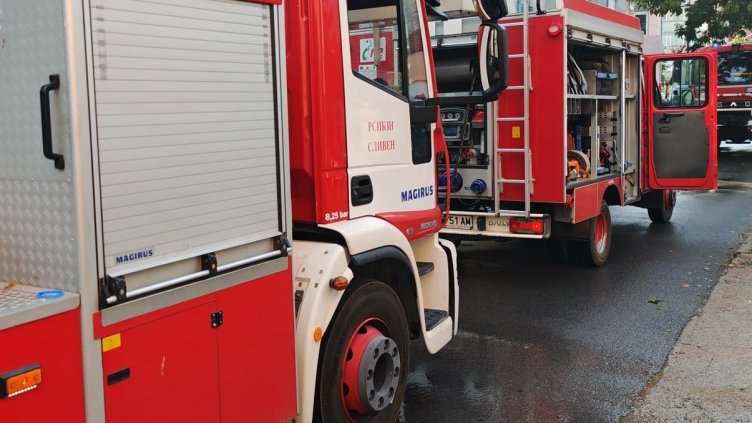 Снимка: архив, БГНЕС