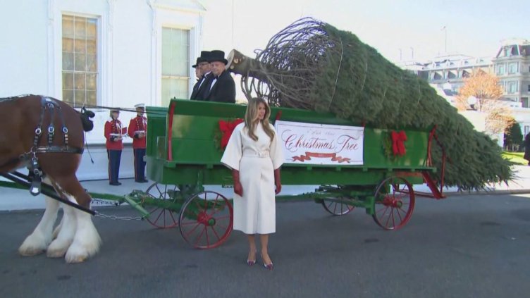 Снимка Стоп кадър БНТ