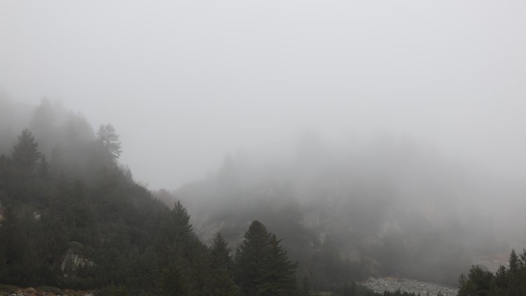 Снимка: БГНЕС/ EPA