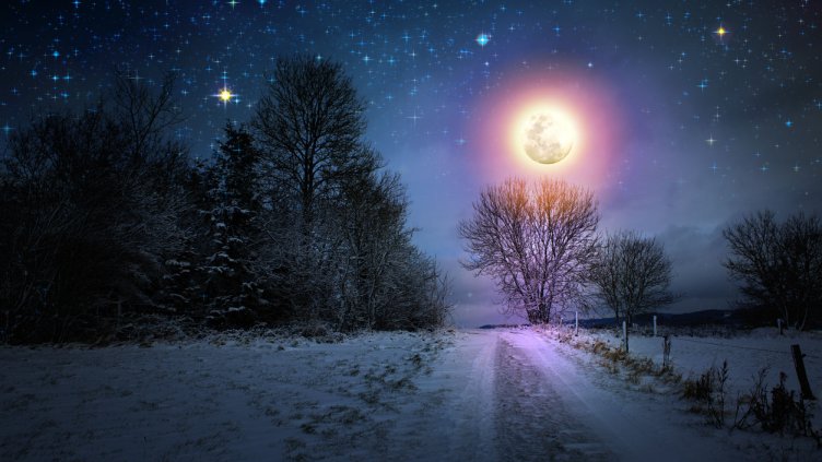 Снимка: iStock/swkunst