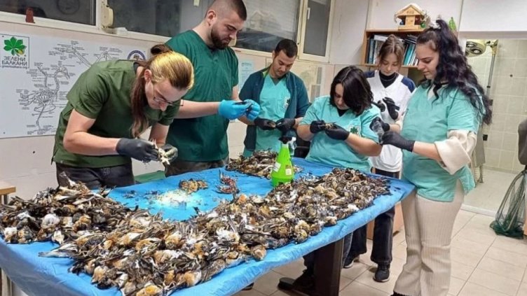 Снимка МОСВ