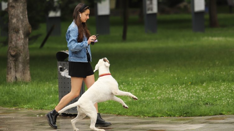 Снимка БГНЕС