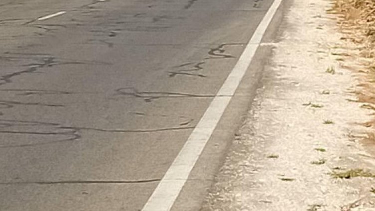 БГНЕС, архив