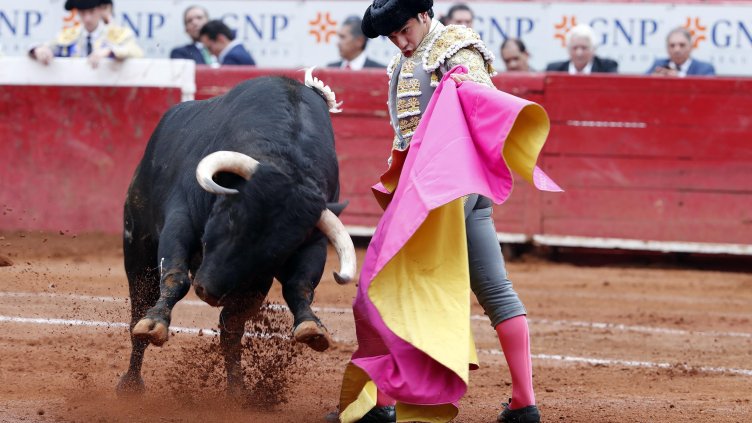 Снимка: архив, БГНЕС