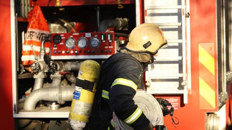 БГНЕС, архив