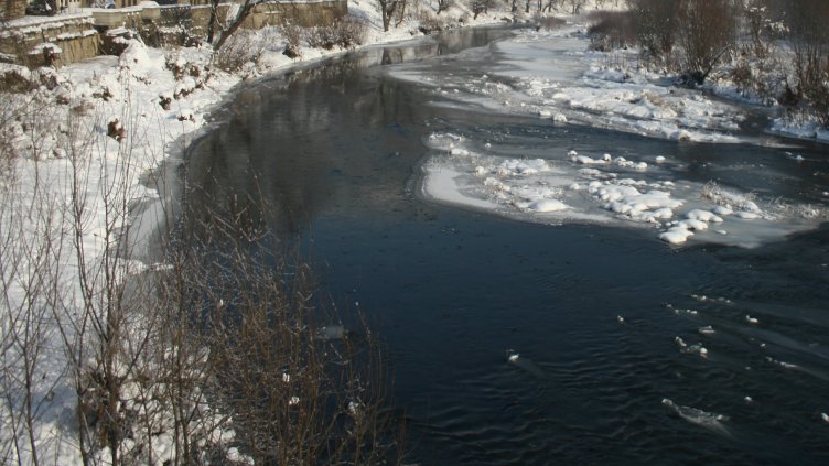 БГНЕС, архив