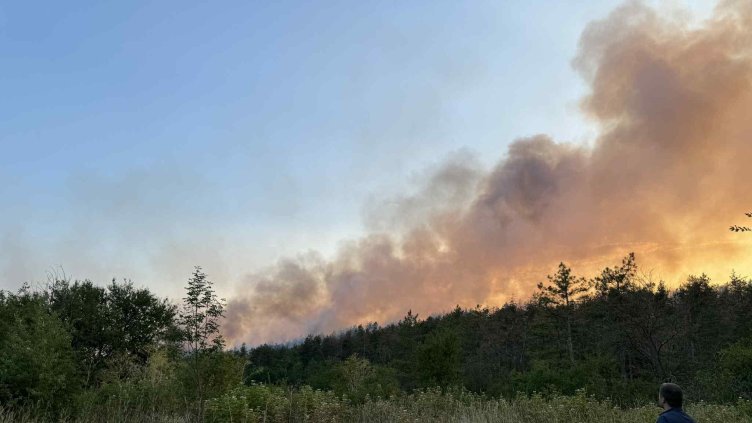 Снимка: архив, БГНЕС