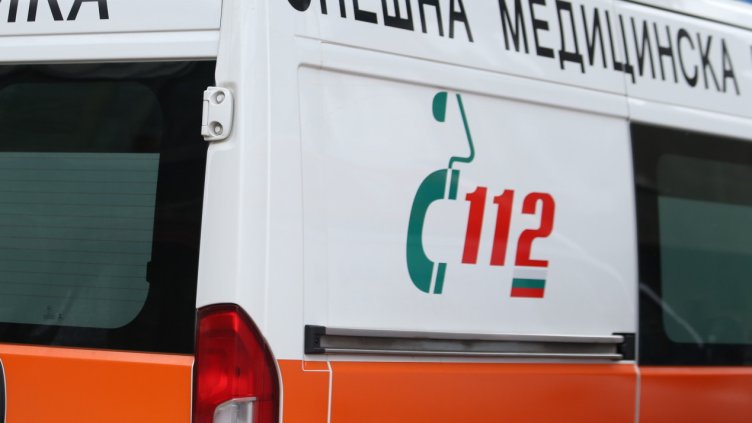 Снимка: архив, БГНЕС