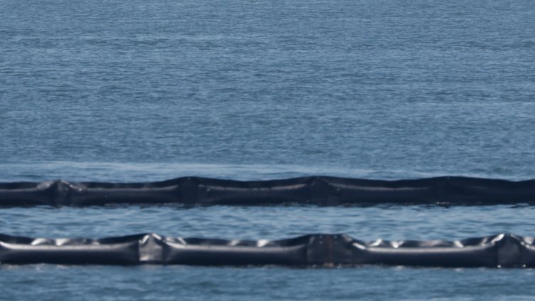 Снимка: архив, БГНЕС