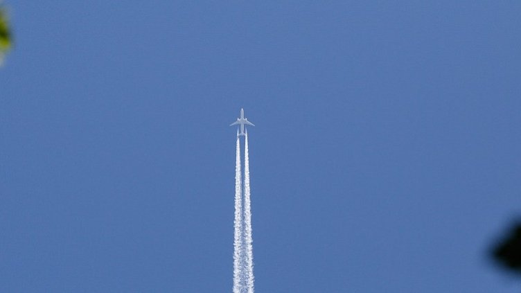 Снимка: Pixabay