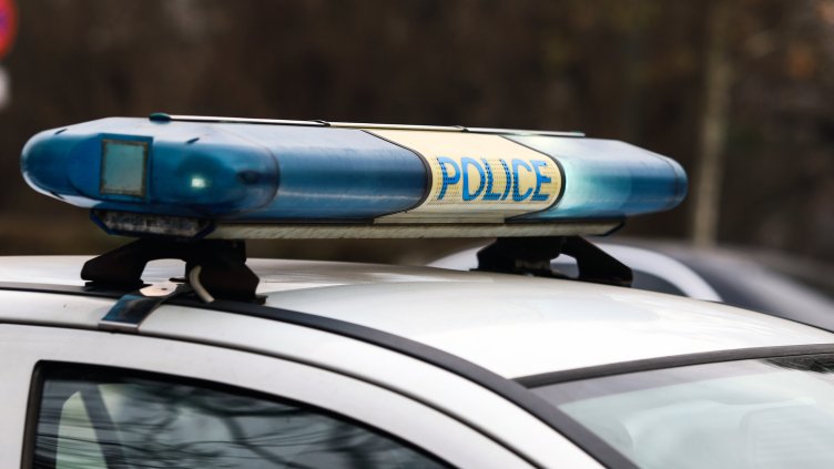 Снимка: архив, БГНЕС