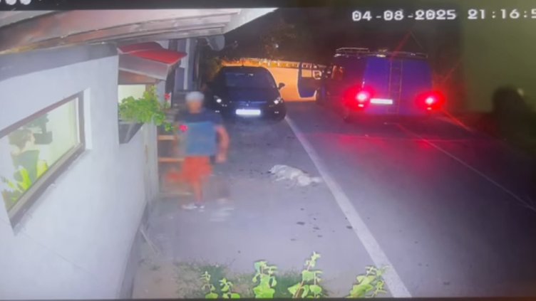 Поредният садист: Мъж уби куче без причина в Тетевен ВИДЕО
