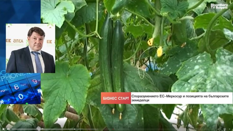 Bloomberg TV Bulgaria