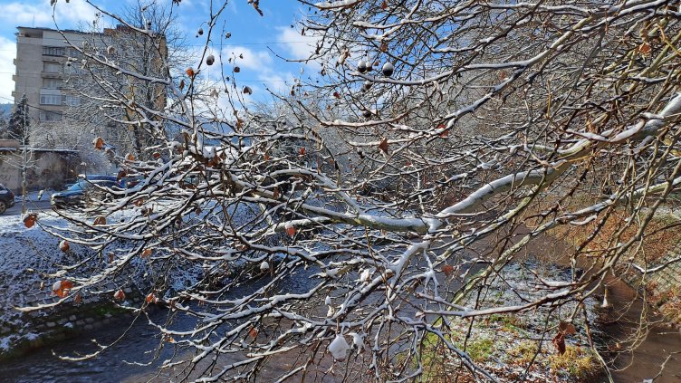 Снимка: архив, БГНЕС