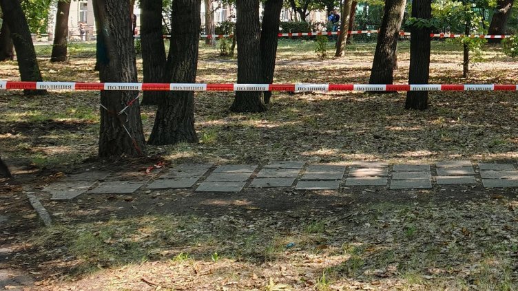 БГНЕС, архив