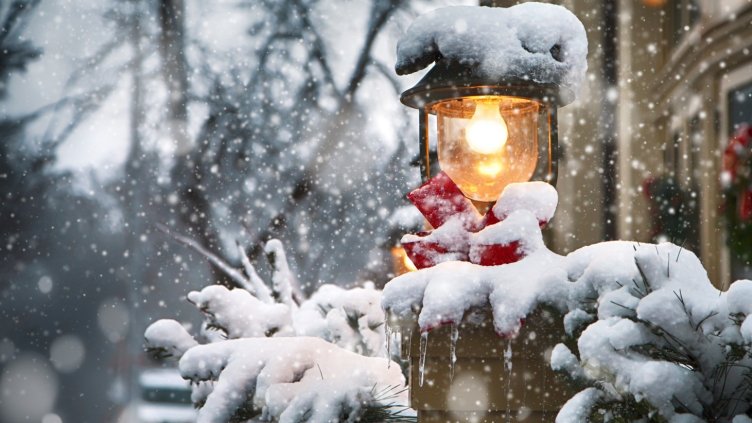 Снимка Пиксабей