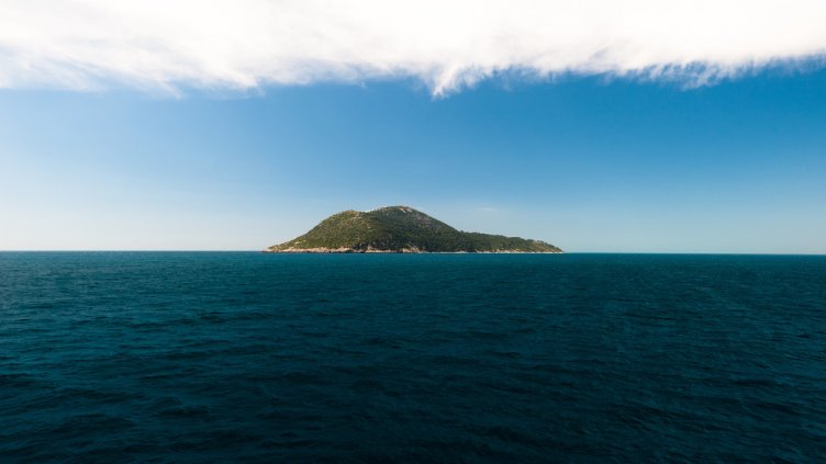 Снимка: IstockPhoto