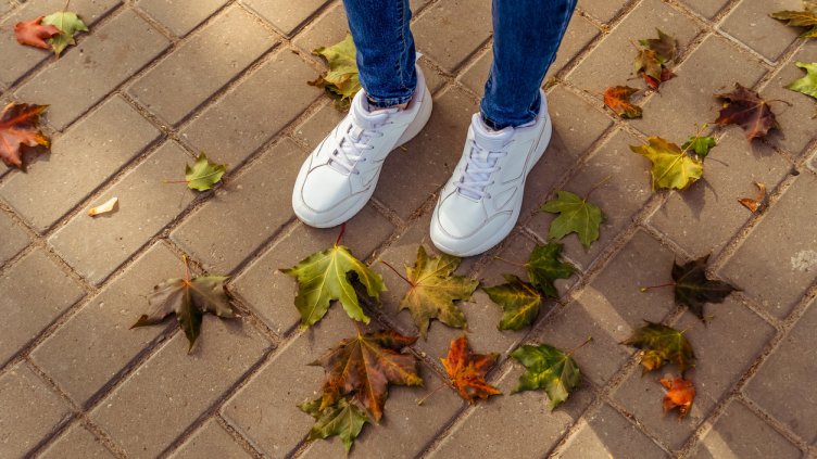 Снимка: iStock/Olga Ihnatsyeva