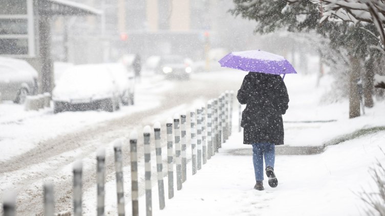 Снимка: архив, БГНЕС