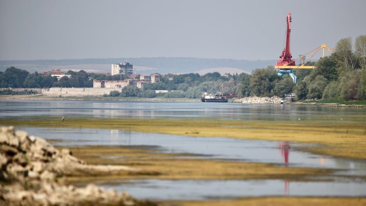 Димитър Кьосемарлиев, Dnes.bg