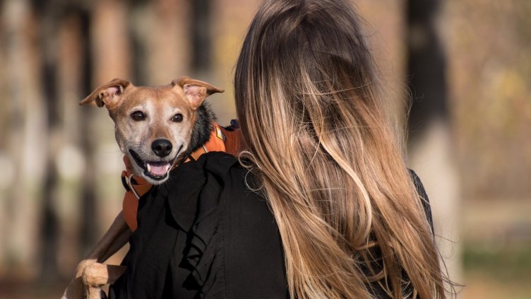 Снимка: Pixabay/RebeccasPictures