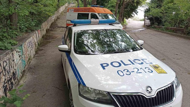 Снимка: БГНЕС